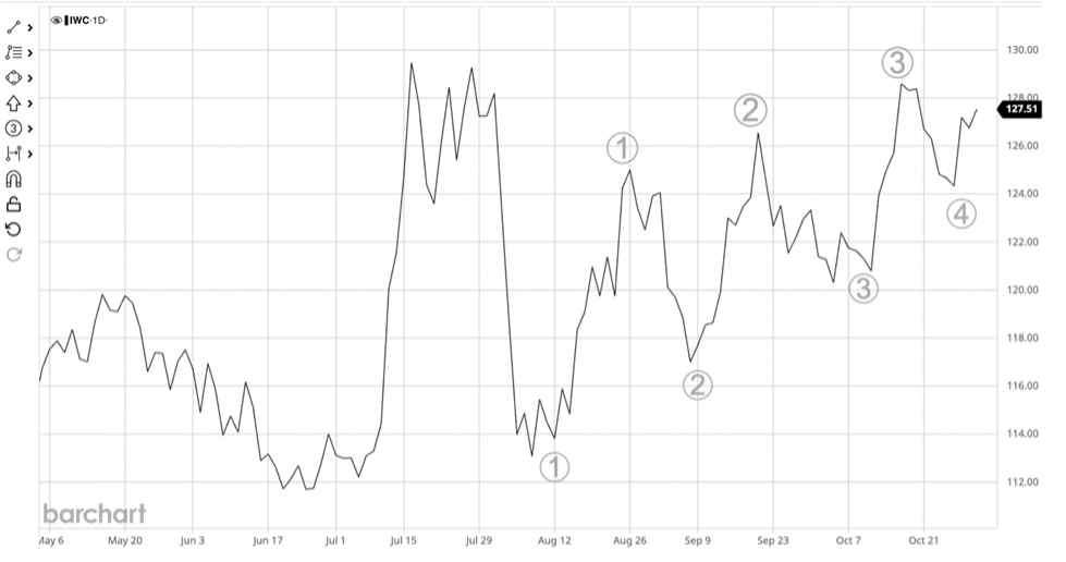 Microcaps_ETF_IWC_131124